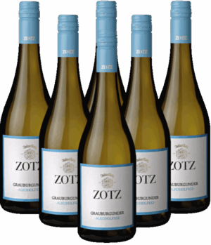 Zotz Grauburgunder alkoholfrei 6er Weinpaket Baden