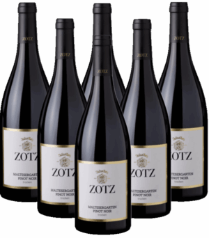 Zotz Maltesergarten Pinot Noir Barrique 6er Weinpaket 2022 Baden