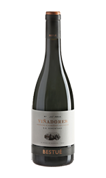 Otto Bestué Viñadores Tinto Somontano 2019 Spanien