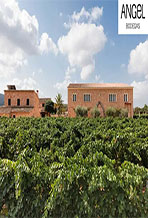Bodegas Angel
