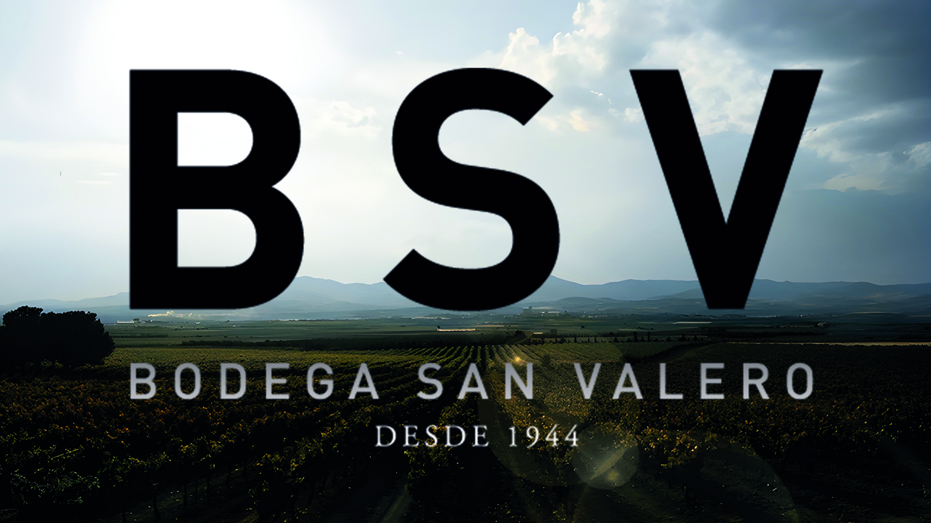 Bodegas San Valero