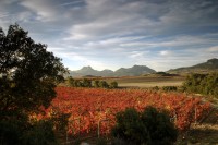 Bodegas Muga