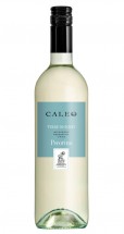 Botter Caleo Pecorino Bianco Terre di Chieti IGT 2018 Italien Botter Caleo Pecorino Bianco Terre di Chieti IGT 2018 Italien