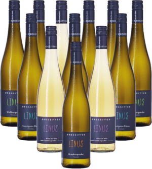 Brogsitter Linus Probierpaket Weißweine aus Rheinhessen 12er Angebot