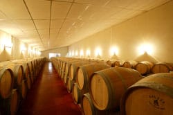 Chateau Penin