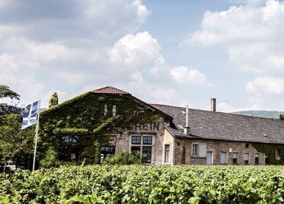 Winzerverein Deidesheim