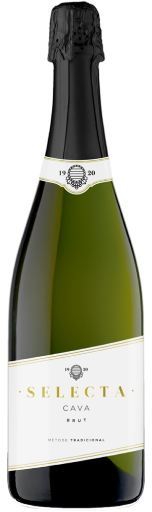 Josep Masachs Selecta Cava Brut Spanien