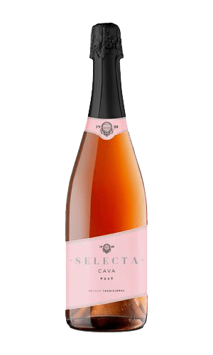 Josep Masachs Selecta Cava Rosé Brut Penedes Spanien