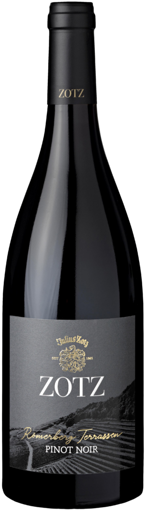 Zotz Pinot Noir Terrassen trocken Römerberg QbA 2019 Baden