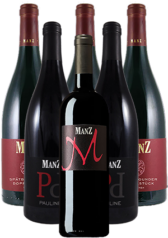 Manz Rotwein Probierpaket trocken Rheinhessen 6er Angebot