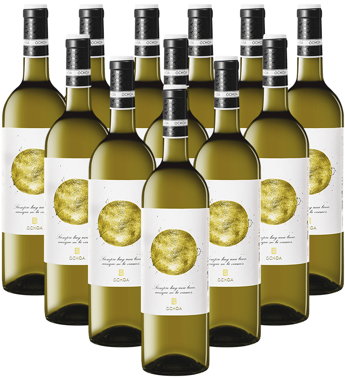 Ochoa Calendas Blanco Navarra Spanien 12er Angebot Ochoa Calendas Blanco Navarra Spanien 12er Angebot