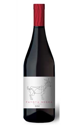 Payoya Negra Tinto 2009 Finca La Melonera Malaga Die Bodega Payoya Negra Tinto 2009 Finca La Melonera Malaga Die Bodega