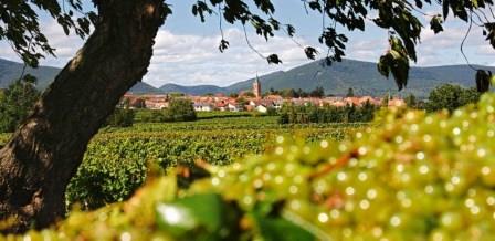 Weingut Wolfgang Pfaffmann