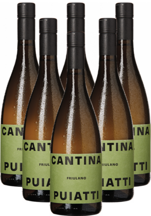 Puiatti Weißwein Friulano Bianco Friaul 6er Weinpaket DOP 2022 Italien