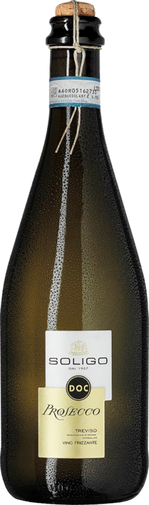 Soligo Prosecco Liga Vino Frizzante Extra Dry Treviso DOC Italien