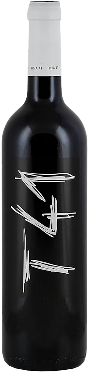 Clos L'Asentiu Tina 41 Tinto Vall Llach Priorat 2023 Spanien