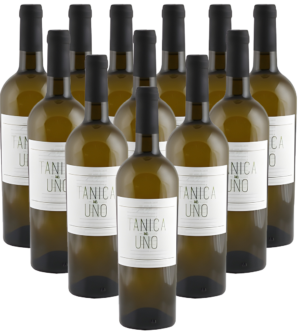 Tanica No Uno Weißwein Chardonnay Tollo 12er Weinpaket 2024 Italien