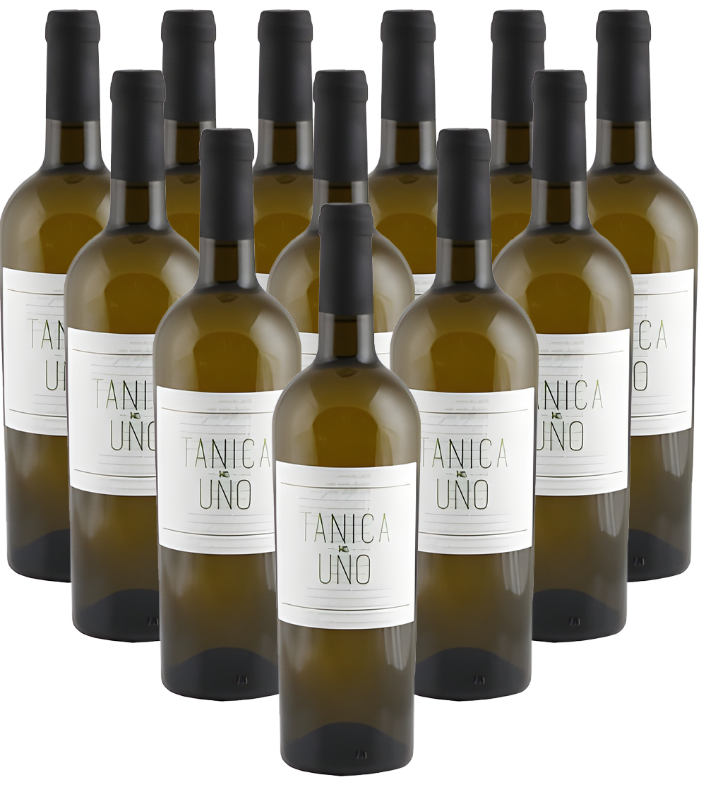 Tollo Tanica No Uno Chardonnay Bianco d'Abruzzo 12er Angebot Tollo Tanica No Uno Chardonnay Bianco d'Abruzzo 12er Angebot