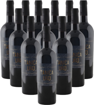 Tollo Tanica No Uno Montepulciano d'Abruzzo 2022 Italien 12er Angebot