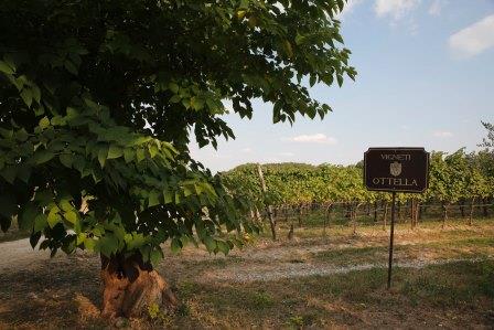 Azienda Ottella